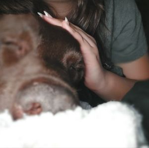 Meet your Posher, Natalie